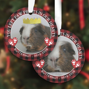 Red Buffalo Karo Paws Guinea Pig Memorial Foto Ornament