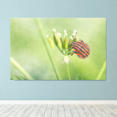 Red Bug - Eine weitere Flasche verletzt nicht Leinwanddruck (Insitu (Holzboden))