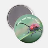 Red Bug With Attitude Nature Personalized Magnet (Vorderseite/Rückseite)