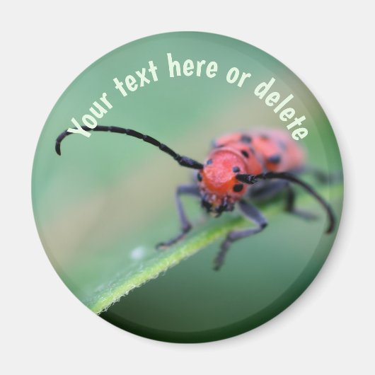 Red Bug With Attitude Nature Personalized Magnet (Vorne)