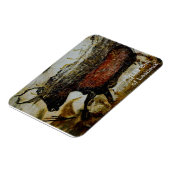 Red Bull of Lascaux Magnet (Linke Seite)