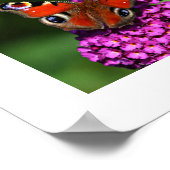 Red Butterfly & Blume Poster (Ecke)