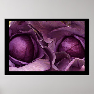 Red Cabbages. Poster von cARTerART