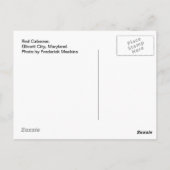 Red Caboose. Ellicott City, MD Postkarte (Rückseite)