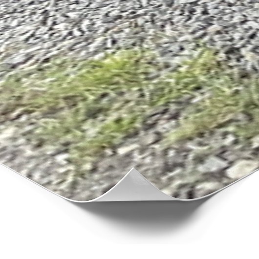 Red Caboose Poster (Ecke)