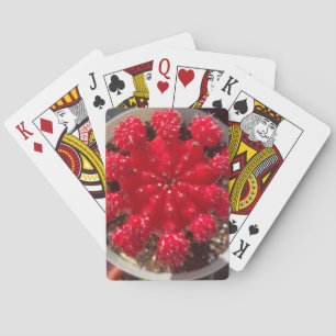 Red Cactus Blossom Top Garden Spielkarten