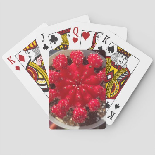 Red Cactus Blossom Top Garden Spielkarten (Rückseite)