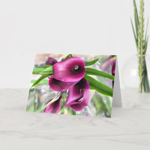 Red Calla Lily Dankeskarte