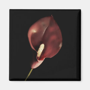Red Calla - Magnet