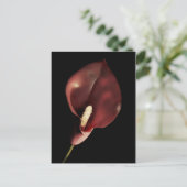 Red Calla - Postcard Postkarte (Stehend Vorderseite)
