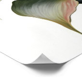 Red Calles Lilies Lily Blume Art Pseudonym Poster (Ecke)