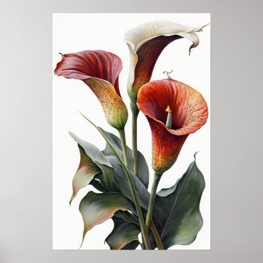 Red Calles Lilies Lily Blume Art Pseudonym Poster (Vorne)
