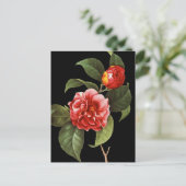 Red Camellia 1833 Postkarte (Stehend Vorderseite)