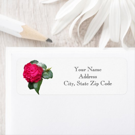 Red Camellia Blume Rücksendeadresse (Insitu)