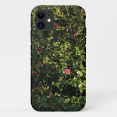 Red Camellia Bush Case-Mate iPhone Hülle (Rückseite)