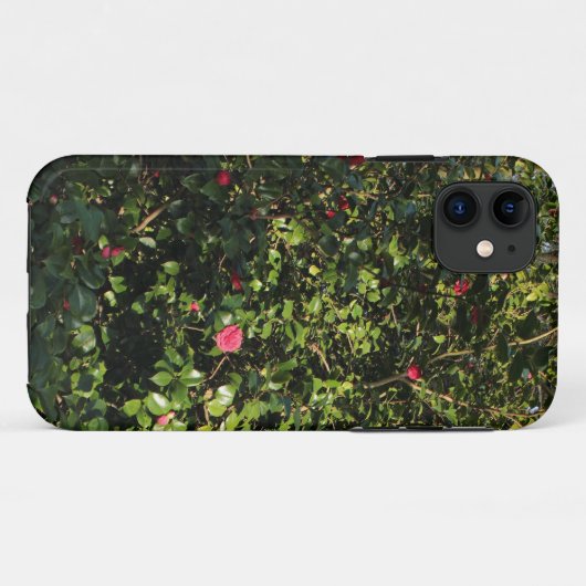 Red Camellia Bush Case-Mate iPhone Hülle (Rückseite (Horizontal))