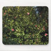 Red Camellia Bush Mousepad (Vorne)