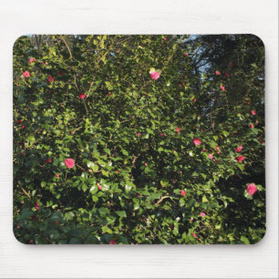 Red Camellia Bush Mousepad