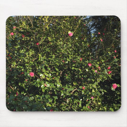 Red Camellia Bush Mousepad (Vorne)