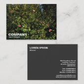 Red Camellia Bush Visitenkarte (Vorne/Hinten)