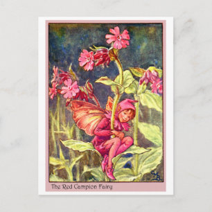 Red Campion Fairy Postkarte