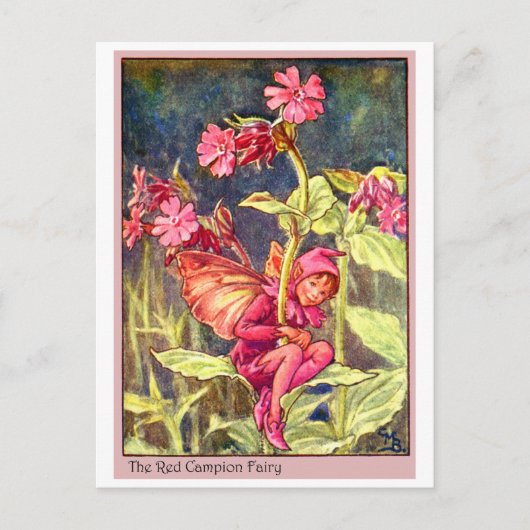 Red Campion Fairy Postkarte (Vorderseite)