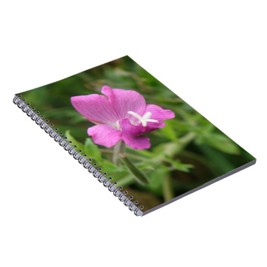 Red Campion Wildblume Notebook Notizblock (Rechte Seite)
