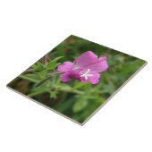 Red Campion Wildblume Tile Fliese (Seite)