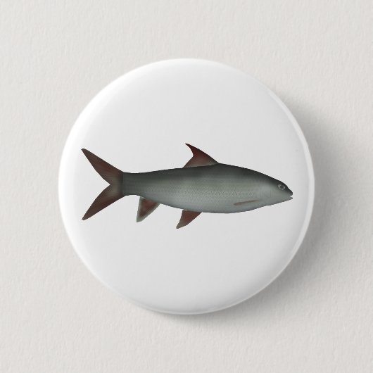 Red Canarese Barb Button (Vorderseite)