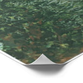 Red Canoe Poster (Ecke)