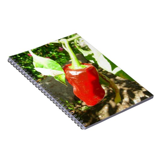 Red Capsicum Notebook Notizblock (Rechte Seite)