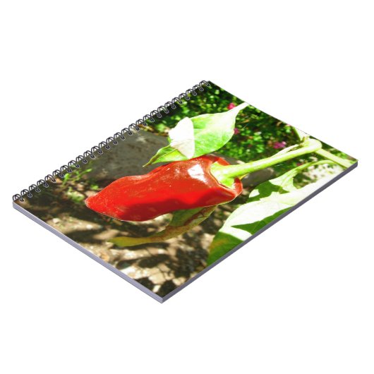 Red Capsicum Notebook Notizblock (Linke Seite)