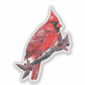 Red cardinal bird sticker Renee Lavoie (Vorderseite)