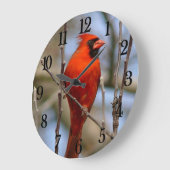 Red Cardinal Große Wanduhr (Winkel)