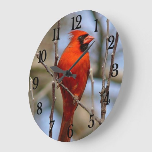 Red Cardinal Große Wanduhr (Winkel)