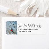 Red Cardinal in Winter Nature Foto von Christmas (Insitu)