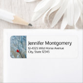 Red Cardinal in Winter Nature Foto von Christmas (Insitu)