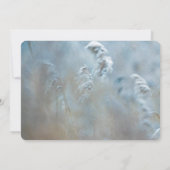 Red Cardinal in Winter Nature Foto von Christmas Einladung (Rückseite)