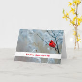 Red Cardinal in Winter Nature Foto von Christmas Karte (Gelbe Blume)