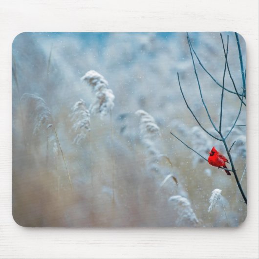 Red Cardinal in Winter Nature Foto von Christmas Mousepad (Vorne)