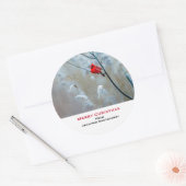 Red Cardinal in Winter Nature Foto von Christmas Runder Aufkleber (Umschlag)