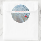 Red Cardinal in Winter Nature Foto von Christmas Runder Aufkleber (Tasche)