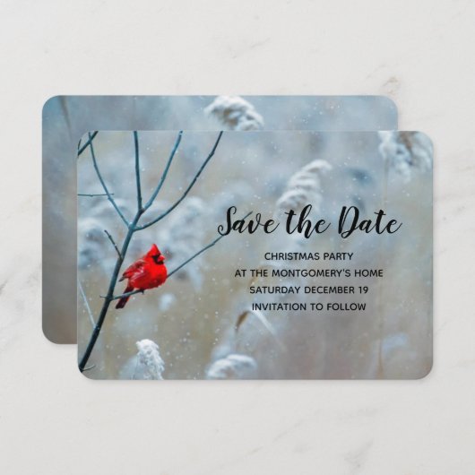 Red Cardinal in Winter Nature Foto von Christmas Save The Date (Vorne/Hinten)