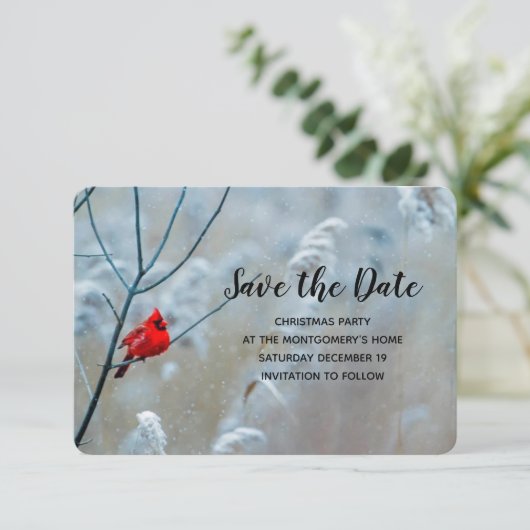 Red Cardinal in Winter Nature Foto von Christmas Save The Date (Stehend Vorderseite)
