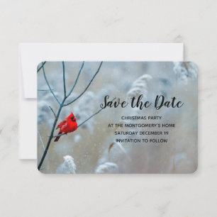 Red Cardinal in Winter Nature Foto von Christmas Save The Date