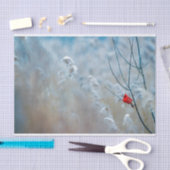 Red Cardinal in Winter Nature Foto von Christmas Seidenpapier (Handwerk)