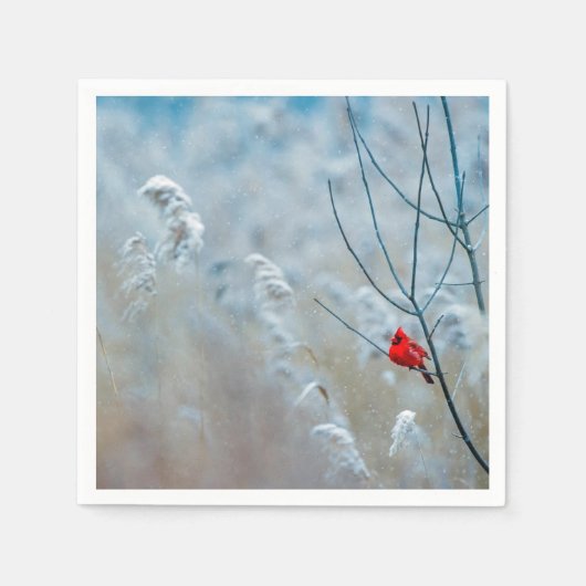 Red Cardinal in Winter Nature Foto von Christmas Serviette (Vorderseite)