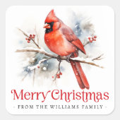 Red cardinal on winter branch Merry Christmas Quadratischer Aufkleber (Vorderseite)