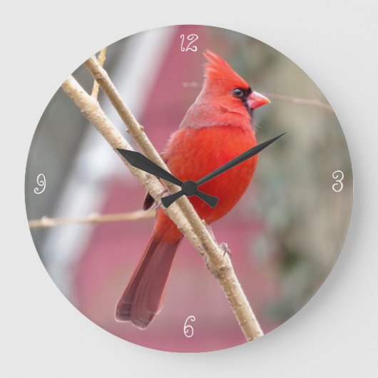 Red Cardinal Round Wall Clock Große Wanduhr (Vorderseite)