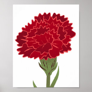 Red Carnation Blume Poster